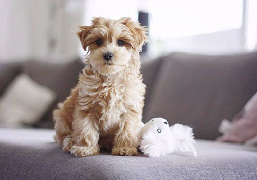 87c019a1960a1a2fbde7f51b50ed413b22f2023c