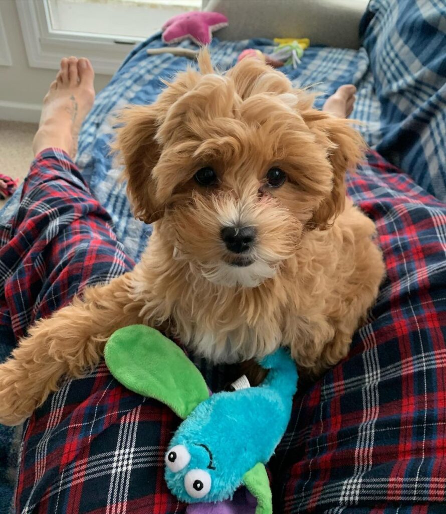 fiona (21) fiona (21)